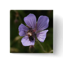 Geranium with Bee Pin