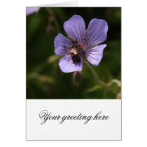 Geranium with Bee