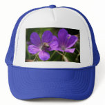 Geranium with Bee Hat