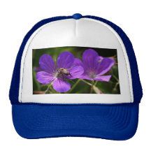 Geranium with Bee Hat