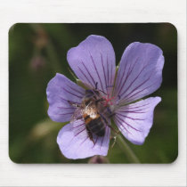 Geranium with Bee Use Pad