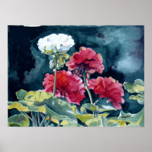 Geraniums by Jan Moeller Print