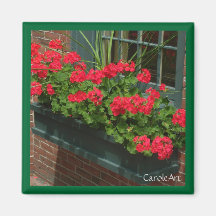 Geraniums Red Green Window Box Fridge Magnet