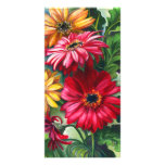 Gerbena Daisies photo cards