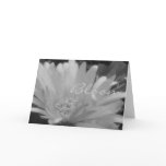 Gerber Daisy Bloom Card