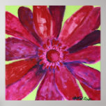 Gerber Daisy Canvas Print