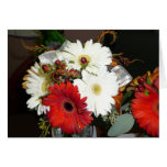 Gerber Daisy cards