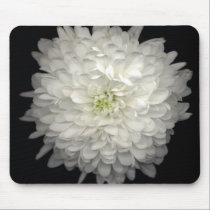 Gerber Daisy mousepads