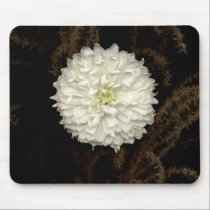 Gerber Daisy mousepads