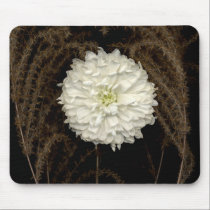 Gerber Daisy mousepads