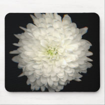 Gerber Daisy mousepads