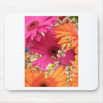 Gerber Daisy Mouse Pad