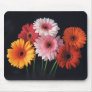 Gerber Daisy mousepad
