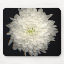 Gerber Daisy mousepads