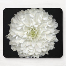 Gerber Daisy mousepads