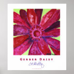 Gerber Daisy Poster posters