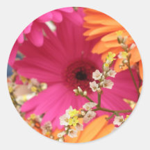 Gerber Daisy Sticker