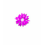 Gerber Daisy t-shirts