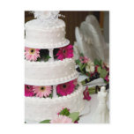 Gerber Daisy Wedding Cake postcards