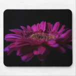 gerber mousepads