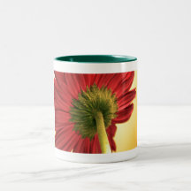 Gerbera Coffee Mug