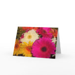 Gerbera Daisies 041
