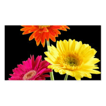 Gerbera Daisies Business Cards