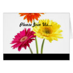 Gerbera Daisies Greeting Card
