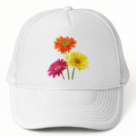 Gerbera Daisies hats