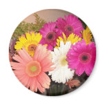 Gerbera Daisies Refrigerator Magnets