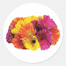 Gerbera Daisies Mixed Colours Round Stickers