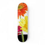 Gerbera Daisies skateboards