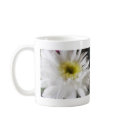 Gerbera Daisy 13 mugs
