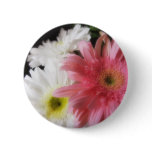 Gerbera Daisy 4 buttons