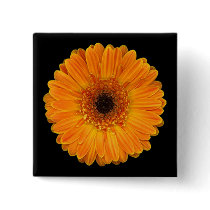 Gerbera Daisy Pinback Buttons