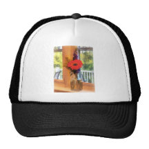 Gerbera Daisy by Kitchen Window Mesh Hat