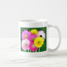 Gerbera Daisy Colours Mugs