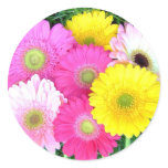 Gerbera Daisy Colours stickers