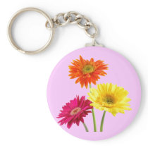 Gerbera Daisy Delight