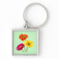 Gerbera Daisy Delight