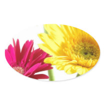 Gerbera Daisy Delight