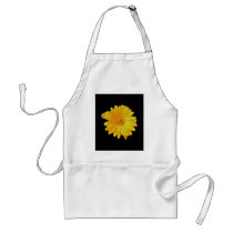 Gerbera Daisy (Gerbera hybrida) - Yellow Aprons