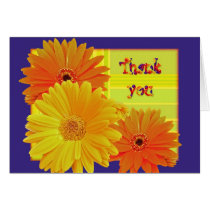 Gerbera Daisy (Gerbera hybrida) - Yellow Card