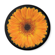 Gerbera Daisy Fridge Magnets