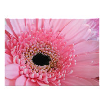 Gerbera Daisy Personalized Invitation