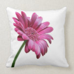 Gerbera Daisy Pillow