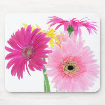 Gerbera Daisy Pink Flowers Mousepads