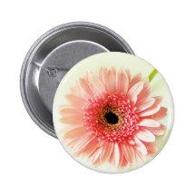 Gerbera Daisy Pins