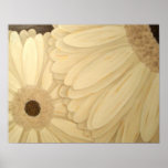 Gerbera Daisy Print