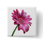 Gerbera Daisy Square Pin buttons